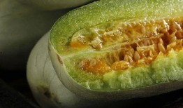 网红吃瓜qq圈,揭秘娱乐圈幕后故事